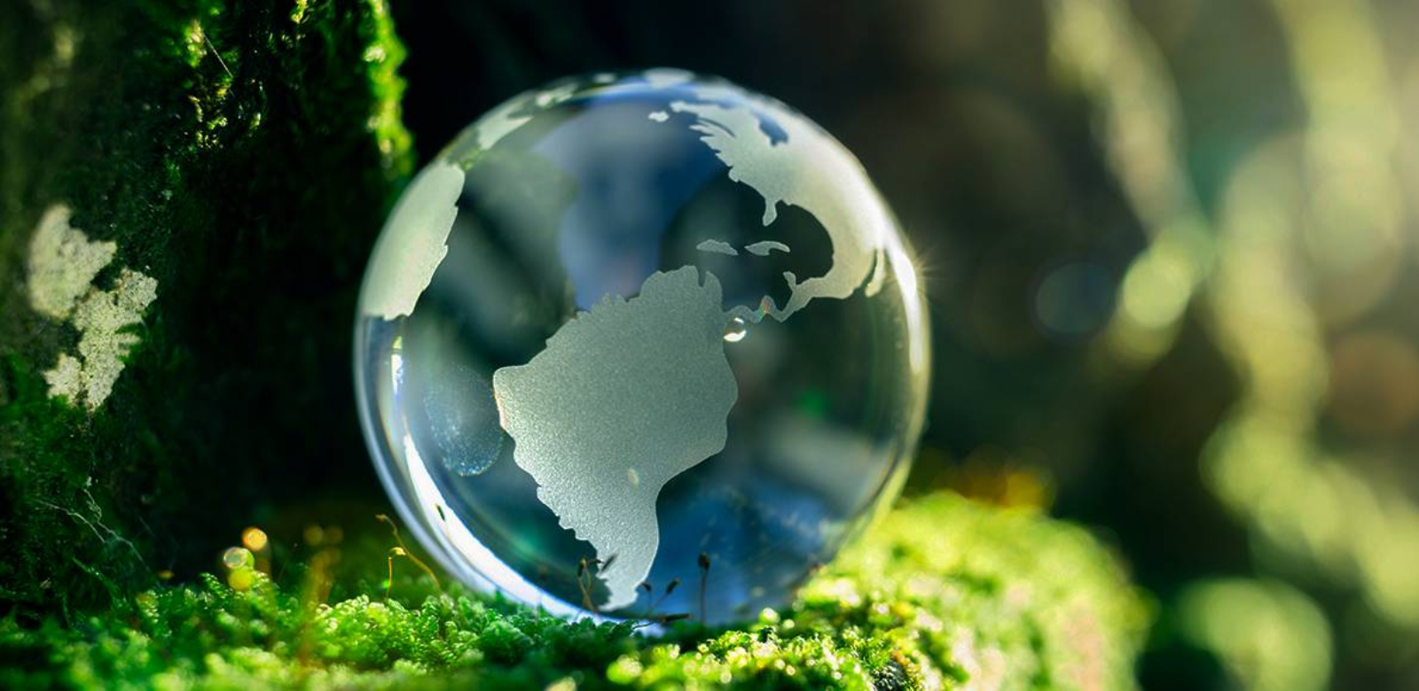 Portucel_Sustentabilidade