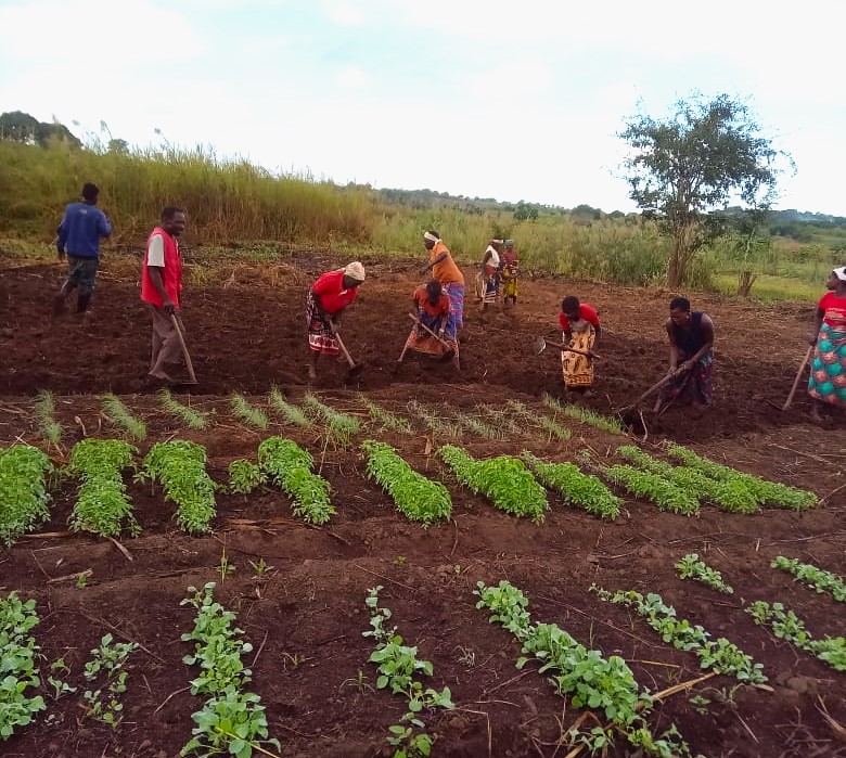 junho_extensao_agricola